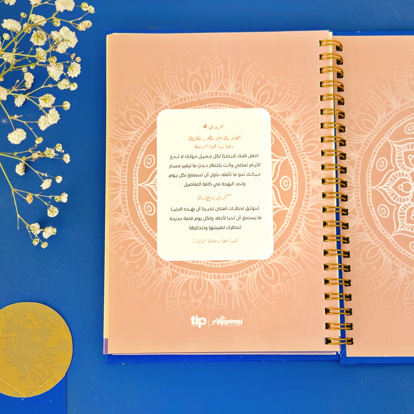 Gratitude NoteBook - blue